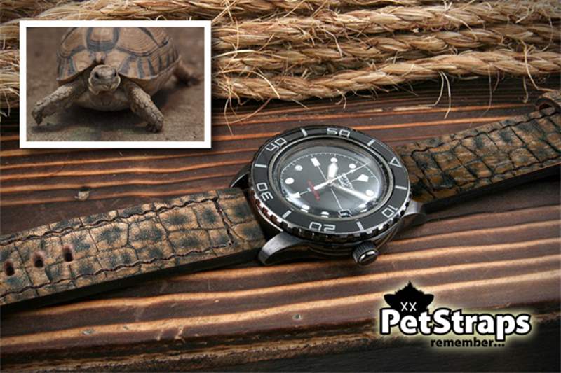 PetStraps:寵物伴侶的愛(ài)存在于……您的手腕上-復(fù)刻表